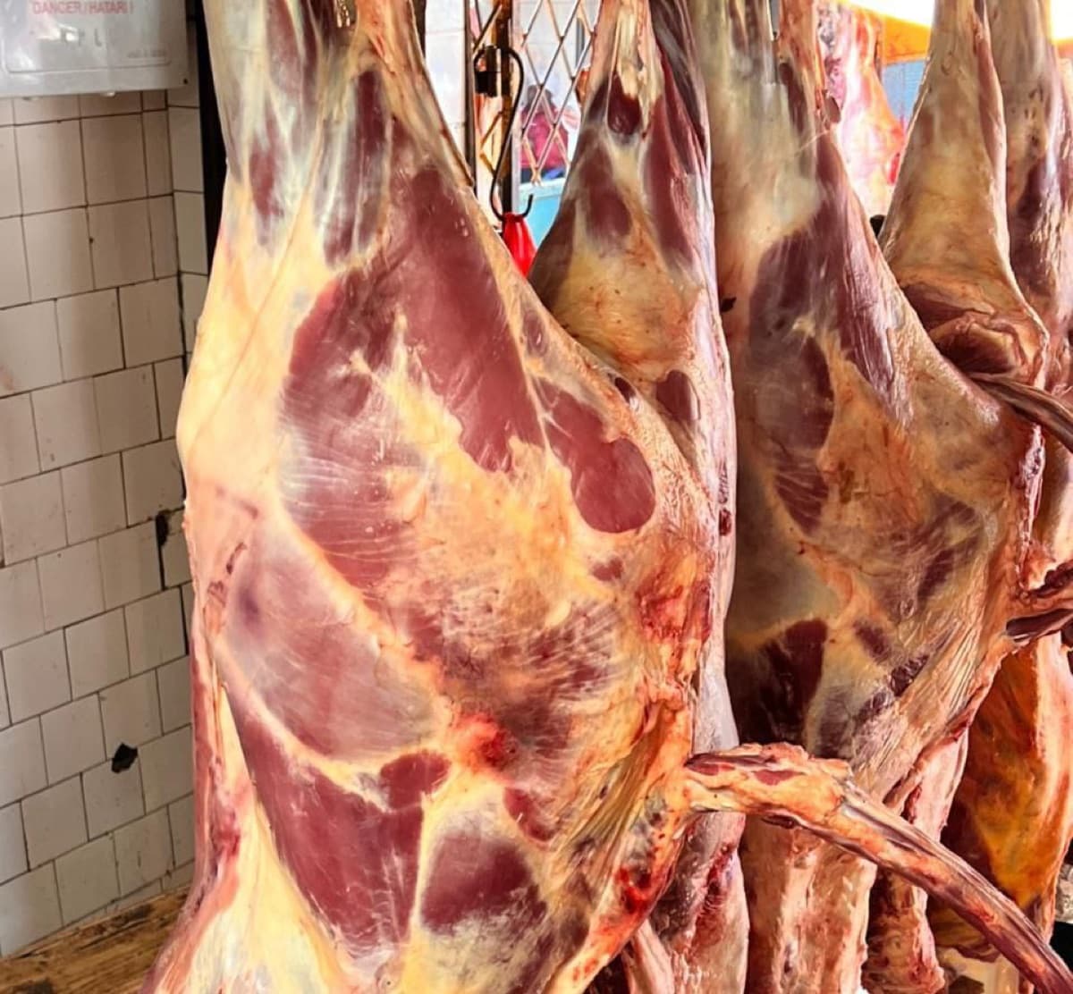 Beef quarter